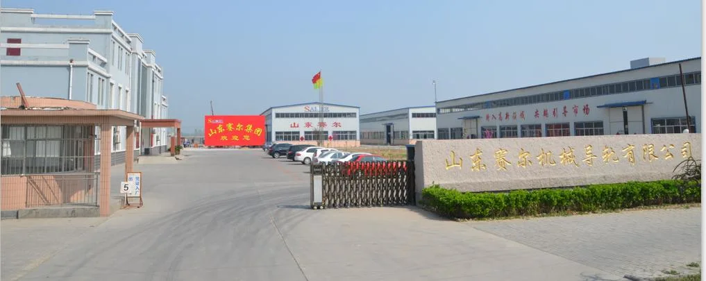 High Precision China Manufacture Ball Screw Sfu1605 Sfu2005 Sfu2505 Ballscrew and Ball Nut for CNC Machine