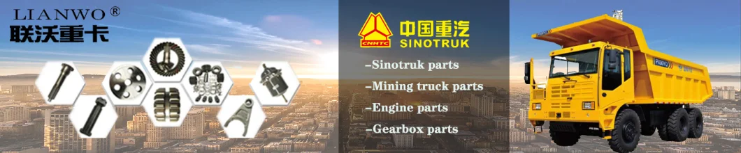 Sino Truck Engine Parts Vg1246080023 Fuel Filter Support