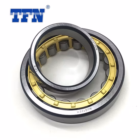 Cylindrical Roller Bearing Single Row 300*460*74mm Nu1060
